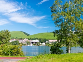 クリスマスに行きたい「長野県の絶景ドライブスポット」ランキング！2位「白樺湖周遊道路」を抑えた1位は？【2025年調査】