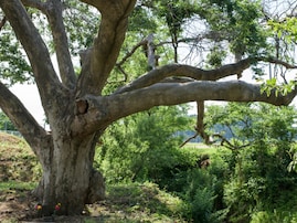 カップルで行きたいと思う「秋田県の道の駅」ランキング！ 2位「かみおか」を抑えた1位は？【2025年調査】