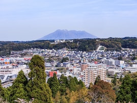 【2025年版】鹿児島県民が選んだ「住み続けたい街（自治体）」ランキング！ 2位「日置市」、では1位は？