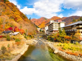 治安がいいと思う「栃木県の自治体」ランキング！ 2位「日光市」を抑えた1位は？【2025年調査】