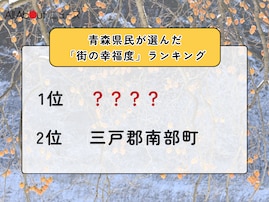 【2025年版】青森県民が選んだ「街の幸福度（自治体）」ランキング！ 2位「三戸郡南部町」を抑えた1位は？