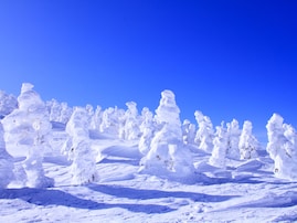 【山形】外国人に人気の観光地ランキング！ 2位「蔵王の樹氷」、1位は？