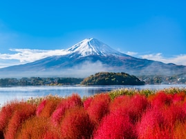 【山梨】外国人に人気の観光地ランキング！ 2位「大石公園」、1位は？