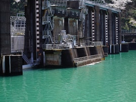 年末年始に行きたいと思う「徳島県の道の駅」ランキング！ 2位「もみじ川温泉」を抑えた1位は？【2025年調査】