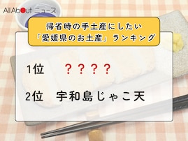 帰省時の手土産にしたい「愛媛県のお土産」ランキング！ 2位「宇和島じゃこ天」を抑えた1位は？【2025年調査】