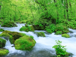 長期休みに行きたいと思う「青森県の旅行先」ランキング！ 2位「奥入瀬渓流」を抑えた1位は？【2025年調査】