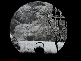 冬に行きたいと思う「神奈川県の絶景スポット」ランキング！ 2位「あじさい寺／明月院」を抑えた1位は？【2026年調査】