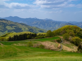 冬に行きたい「埼玉県の絶景ドライブスポット」ランキング！ 2位「秩父高原牧場周辺ルート」を抑えた1位は？【2025年調査】