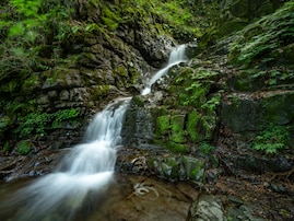 冬に行きたい「東京都の穴場秘境」ランキング！ 同率2位「九頭龍の滝」「日原鍾乳洞」を抑えた1位は？【2026年調査】