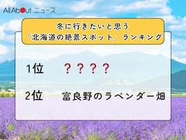 冬に行きたいと思う「北海道の絶景スポット」ランキング！ 2位「富良野のラベンダー畑」を抑えた1位は？【2026年調査】