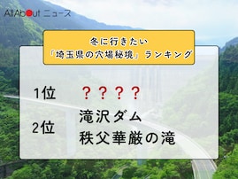 冬に行きたい「埼玉県の穴場秘境」ランキング！ 同率2位「滝沢ダム」「秩父華厳の滝」を抑えた1位は？【2026年調査】