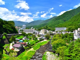 冬に行きたい「栃木県の道の駅」ランキング！ 2位「湯の香しおばら」を抑えた1位は？【2026年調査】