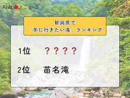 新潟県で「冬に行きたい滝」ランキング！ 2位「苗名滝」を抑えた1位は？【2026年調査】