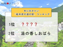 冬に行きたい「栃木県の道の駅」ランキング！ 2位「湯の香しおばら」を抑えた1位は？【2026年調査】