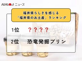 福井県らしさを感じる「福井県のお土産」ランキング！ 2位「恐竜発掘プリン」を抑えた1位は？【2026年調査】
