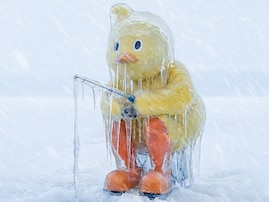 「無理だ…」チキンラーメン・ひよこちゃん、“最低気温の日”の姿に「誰かお湯w」「無茶しやがって…」