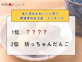 見た目がかわいいと思う「愛媛県のお土産」ランキング！ 2位「坊っちゃんだんご」を抑えた1位は？【2026年調査】