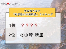 冬に行きたい「岩手県の穴場秘境」ランキング！ 2位「北山崎 断崖」を抑えた1位は？【2026年調査】