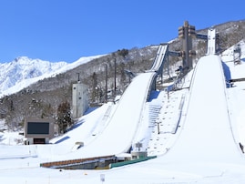 生で観戦してみたいと思う「冬季五輪の競技」ランキング！ 2位「スキージャンプ」、1位は？