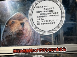 「スタッフの精神が心配」水族館公式、問い合わせに「いよいよ気が狂いそうですWWWW」と吐露。