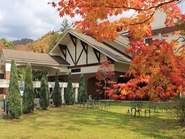 【楽天トラベル春セール】「袋田温泉 思い出浪漫館」が特別価格で登場中