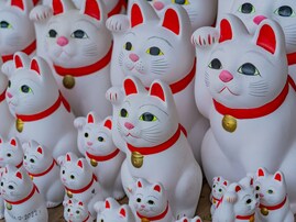 【4つの吉日が同時到来】2月21日は“超最強”開運日！ 金運招来日にやっておきたい行動とは？