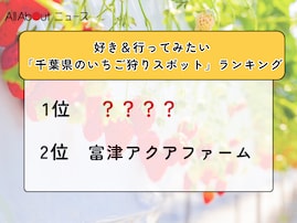 好き＆行ってみたい「千葉県のいちご狩りスポット」ランキング！ 2位「富津アクアファーム」を抑えた1位は？