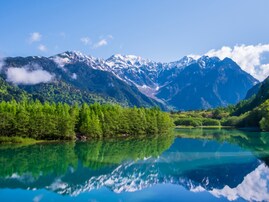 【中部地方居住者に聞いた】春にドライブで行きたい場所ランキング！ 同率1位が4つの大混戦