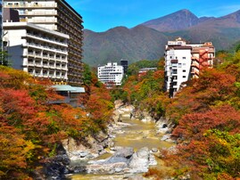【栃木県】「やわらかな湯に……」観光もグルメも楽しめる「鬼怒川温泉」の魅力とは？
