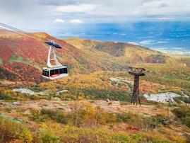 好き＆行ってみたい「栃木県の道の駅」ランキング！ 「日光」などを超える1位は？【2026年調査】