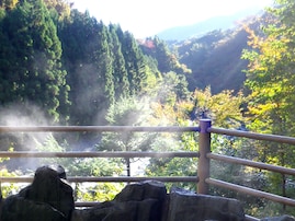 【山梨県の人気ホテル】「道志川温泉 紅椿の湯」が選ばれる理由