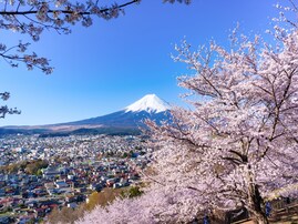 「日本の公立小の教え」は“最強の武器”だとアメリカで痛感。「遅刻しない」「責任感」だけで高評価？