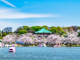 東京で行ってみたい＆好きな桜の名所ランキング！ 2位「上野恩賜公園」を抑えた1位は？【2026年調査】