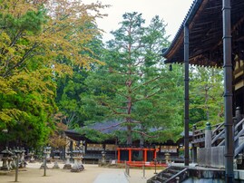 読むのが難しいと思う「和歌山県の駅」ランキング！ 2位「中飯降」を抑えた1位は？