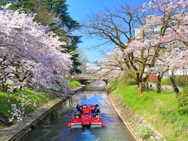富山で行ってみたい＆好きな桜の名所ランキング！ 2位「松川べり」を抑えた1位は？【2026年調査】