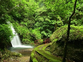 グルメが魅力的だと思う「和歌山県の道の駅」ランキング！ 2位「San Pin 中津」を4票差で抑えた1位は？