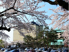 岩手県で「行ってみたい＆好きな桜の名所」ランキング！ 3位「花巻温泉」を抑えた2位と1位は？【2026年調査】
