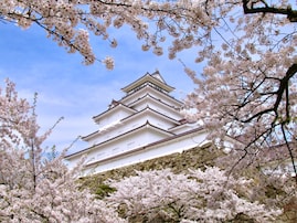 春に行きたいと思う「宮城県の旅行先」ランキング！ 2位「白石川堤一目千本桜」を抑えた1位は？【2026年調査】