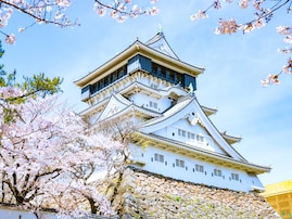 福岡で行ってみたい＆好きな桜の名所ランキング！ 2位「小倉城」を抑えた1位は？【2026年調査】