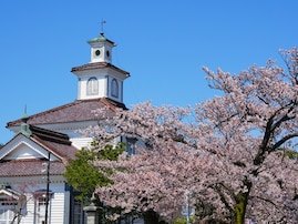 春に行きたいと思う「山形県の公園」ランキング！ 2位「鶴岡公園」を抑えた1位は？【2026年調査】