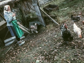 【チョルノービリ事故40年】立入禁止区域で自給自足。写真家が見た“死の土地”で余生を送るお婆ちゃん