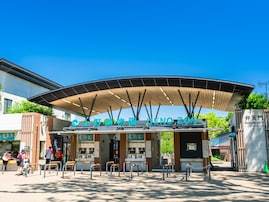 春に行きたいと思う「東京都の旅行先」ランキング！ 2位「上野動物園」を抑えた1位は？【2026年調査】