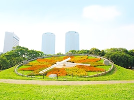 春に行きたいと思う「千葉県の公園」ランキング！ 2位「県立幕張海浜公園」を抑えた1位は？【2026年調査】