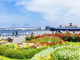 春に行きたいと思う「神奈川県の公園」ランキング！ 2位「山下公園」を抑えた1位は？【2026年調査】