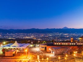 「ナンバープレートにしたい」と思う山梨県の地名ランキング！ 2位「甲府市」を抑えた1位は？【2026年調査】