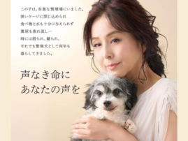「愛犬家」の印象が強い女性芸能人ランキング！ 2位「杉本彩」、15票差の1位は？