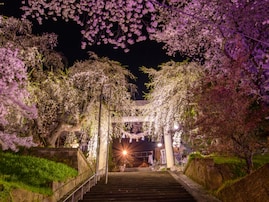 【山形県】複数の源泉を楽しめる「赤湯温泉」の魅力とは？1000本桜やワイン、名物ラーメンを満喫