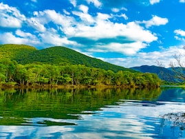 【20代限定】春に行きたいと思う「鹿児島県の旅行先」ランキング！2位「奄美大島」、1位は？【2026年調査】