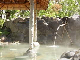 【宮城県の人気日帰り温泉】「やくらい薬師の湯」は薬莱山の自然に癒やされる施設。夜の露天風呂から見える星空に感動