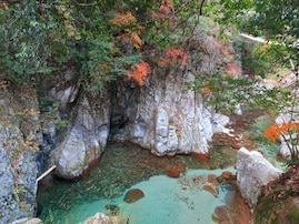 【愛媛県】化粧水のようなとろとろの湯「鈍川温泉」の魅力とは？pH9.9の湯と渓谷美、山と海の幸を堪能